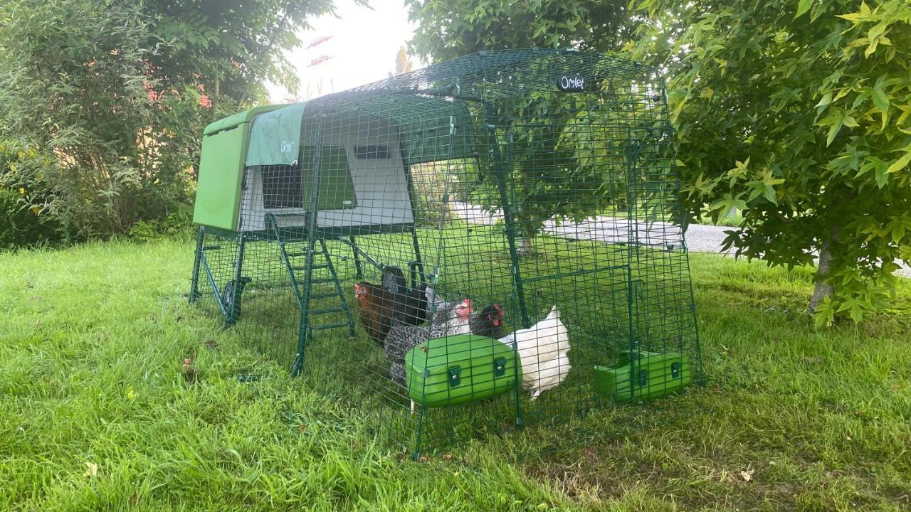 Villa Les mouettes - la paix du bord de Seine à Berville-sur-Seine Extérieur photo