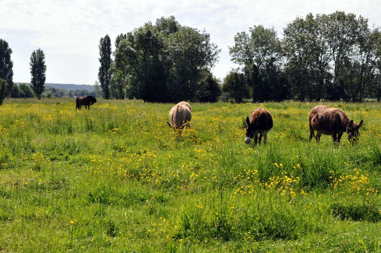 Villa Les mouettes - la paix du bord de Seine à Berville-sur-Seine Extérieur photo